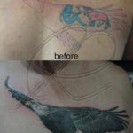 eagle cover up tattoo by Rand Ink